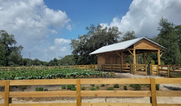 A wooden shelter stands near a fenced vegetable garden under a partly cloudy sky, surrounded by green plants and trees.