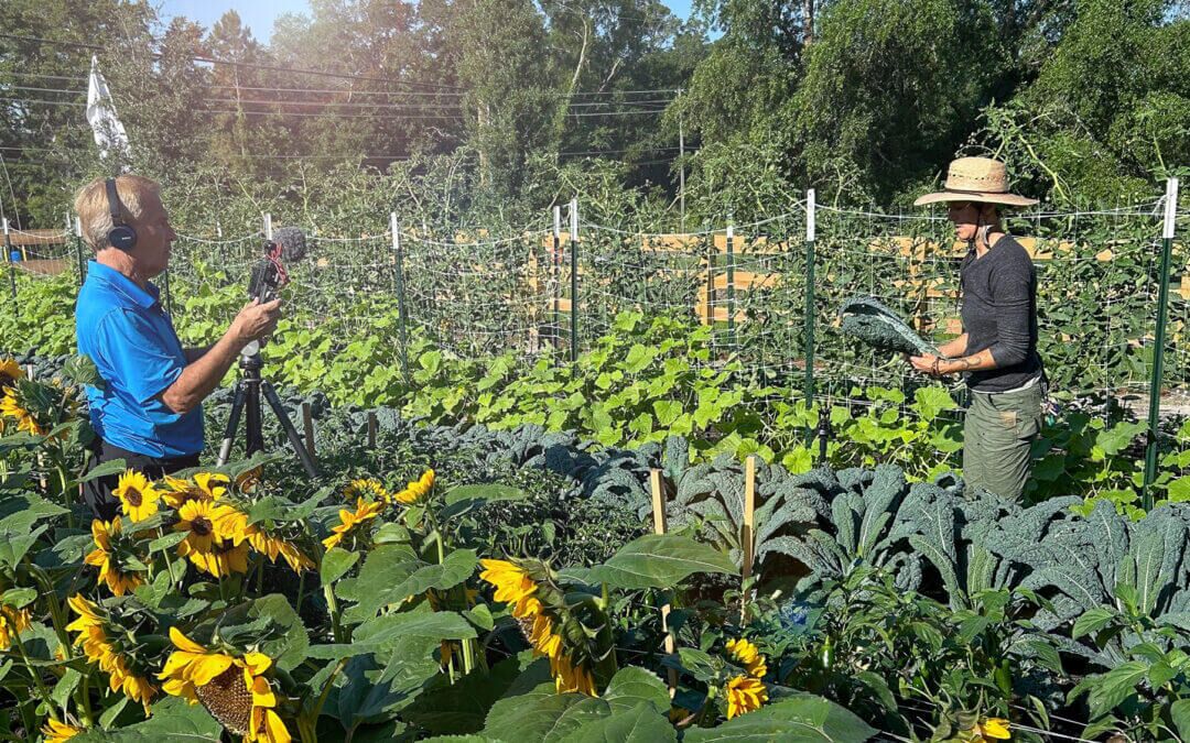 In the News: Farm-Fresh Living Comes to Orlando