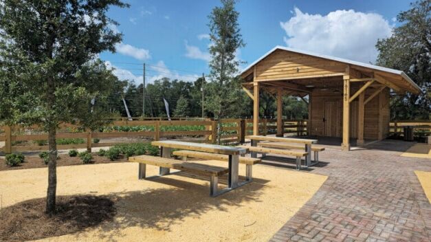 Wooden pavilion with picnic tables and benches overlooking The Grow's community garden and open green space