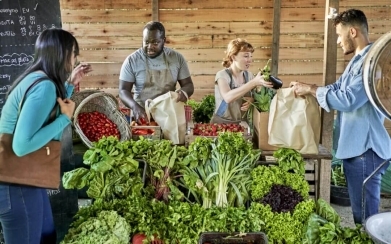 What Is a CSA?