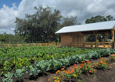 A thriving community garden with rows of leafy green vegetables and colorful flowers surrounding a rustic wooden farm stand beneath a bright sky with large clouds.