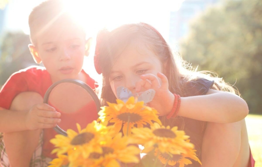 Children with magnifying glasses take a closer look at butterflies amid bright yellow flowers.