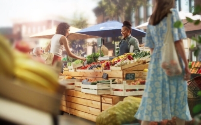 Orlando Farm-to-Table Guide: Local Farmers Markets, Fresh Produce Stands & Artisan Food Sources in Central Florida