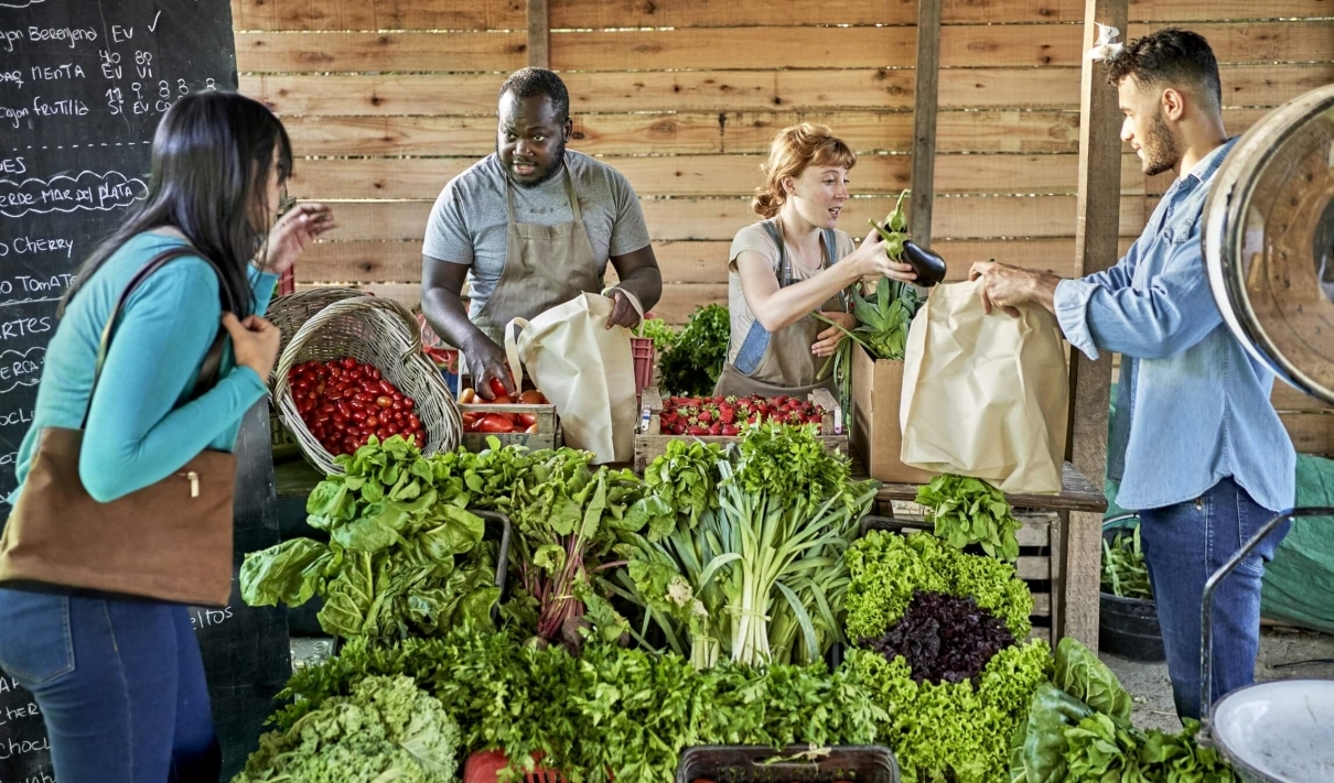 The Grow – What is a CSA
