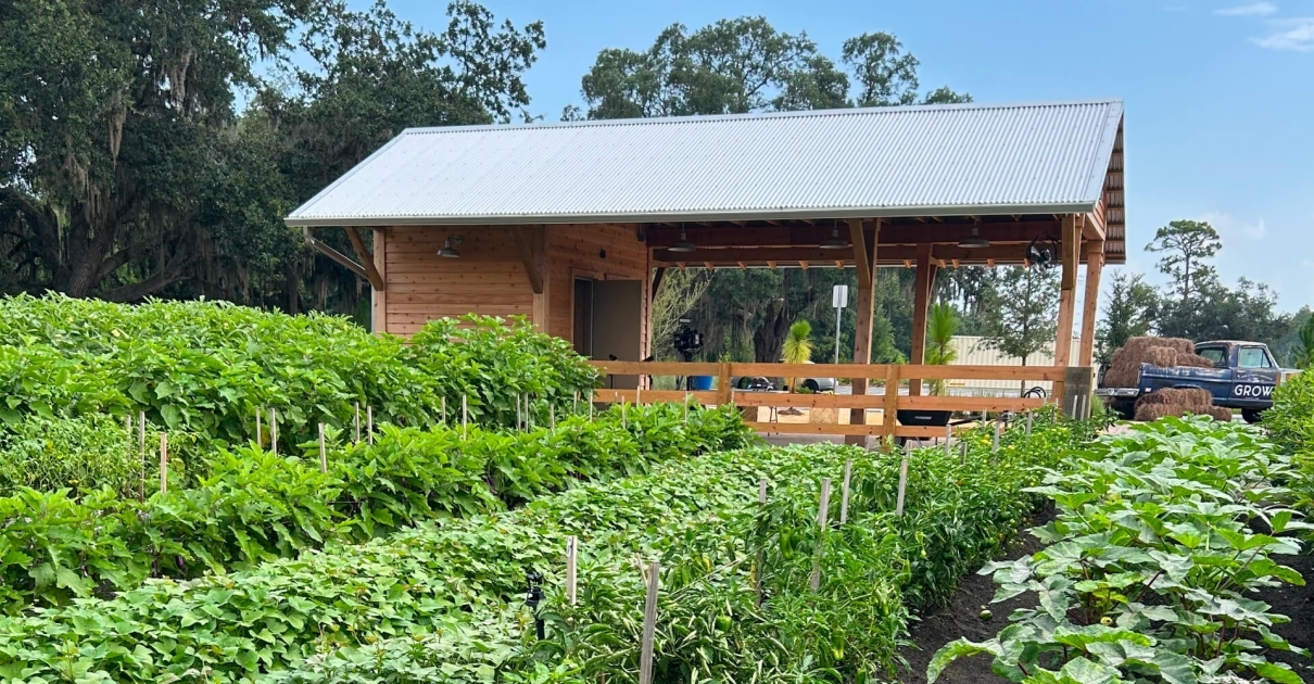 the-grow-orlando-agrihood-demonstration-farm Demonstration farm at The Grow in Orlando with rows of crops and a wooden pavilion structure